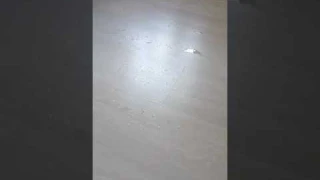 SAMSUNG VR05R5050WG/EV