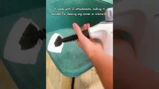 PHUEUT Steam Cleaner 12 in 1 steam cleaner