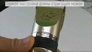 Машинка BAORUN P2