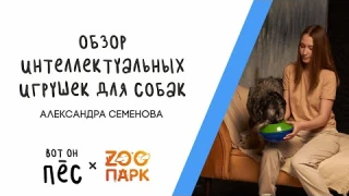Обзор игрушек для собак от кинолога: Kong, Petstages, Ferplast (Вот он - Пёс!)