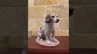 Personalized Dog Figurines | 3D Printed Pet Figurine | Customer Testimonial | My3dSelfie