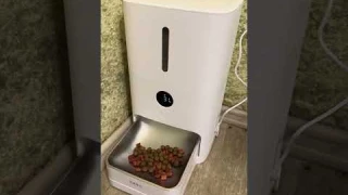 Xiaomi Mijia Smart Pet Feeder 2 кратко #cat