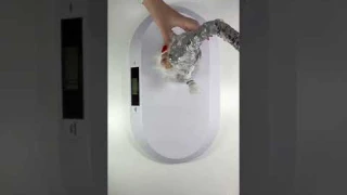 Обзор детских электронных весов
