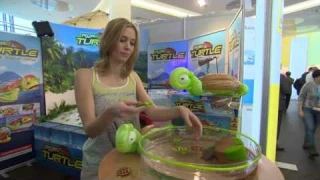 Плавающая робочерепаха Robo Turtle