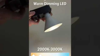 TCP PAR38 Warm Dimming LED Flood (L15P38DFLA) #youtubeshorts #ledlights @TCPLighting