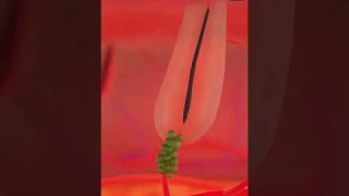 Say Goodbye to Hair Loss! 😱💇‍♂️ How Scalp Massage Can Save Your Hair | 3D Animation