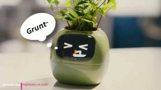 Умный цветочный горшок с эмоциями: Tuya Ivy Smart