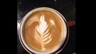 Breville BES840XL the Infuser Espresso Machine Review