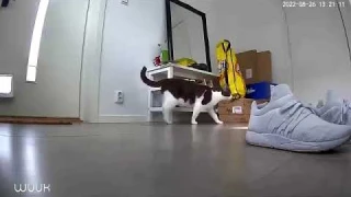 WUUK Pan & Tilt Cam Pro - Capture Moments In Life