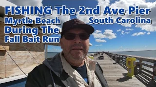 Myrtle Beach Pier Fishing: Spanish Mackerel Galore, Plus Tips for Rigging Up