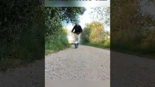 M4 Pro S+ Max | Discover the Joy of 800W Motor Electric Scooter!