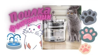 Фонтанчик поилка  для кошек