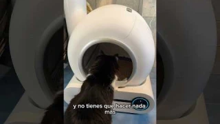 Probando un arenero autolimpiable 😱 #shorts #gatos