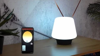 Philips Hue Wellness White Ambiance LED table lamp, black + DIM Switch