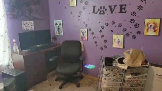 SYMA Mini Drone with LED Lights Review, Great drone for all ages! So many stunts and tricks!