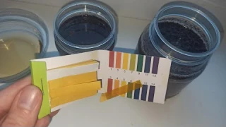 Как измерить кислотность почвы с помощью лакмусовой бумаги