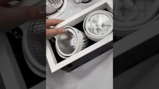 Double head gimbal light