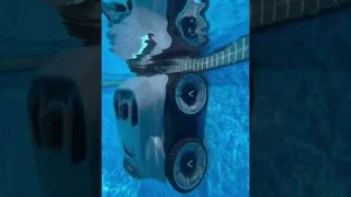 Pool Bliss 🏊‍♂️✨ | Aiper Seagull Pro Review: Cordless & Effortless Pool Cleaning!