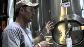 Noble Rot: A hybrid of beer and wine