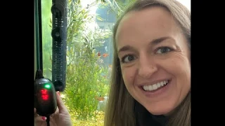 HiTauing Aquarium Heater, 50W/100W/200W/300W/500W Submersible Fish Tank Heater- REVIEW