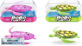 ROBO ALIVE Robo Turtle Robotic Swimming Turtle (Green + Pink) by ZURU Review
