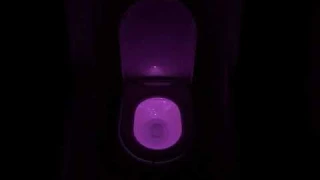 Toilet Night Light 2Pack by AUSAYE, 8 Color Led Motion Activated Toilet Light, Fit Any Toilet Bowl,