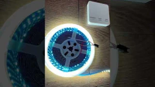 Адресная светодиодная лента