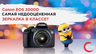 Обзор EOS 2000D - самая недооценённая зеркалка Canon?