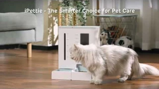 iPettie FW54 WiFi Automatic Feeder and Waterer Set: Make Feeding More Easier and Free