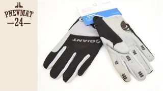 Перчатки велосипедные Giant Black/Gray