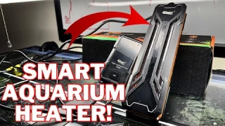 Hygger Double Quartz Aquarium Heater Review And Setup! (300W HG043)
