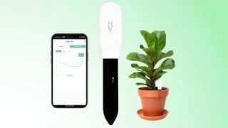Smart Plant Care? 🌱 AFRA Soil Moisture Sensor Review with App Control!