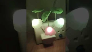 2 Pack Led Night Light w/Dusk to Dawn Sensor,AUSAYE 0.6W Plug-in Night Light Lamp, Night Lig Reviews