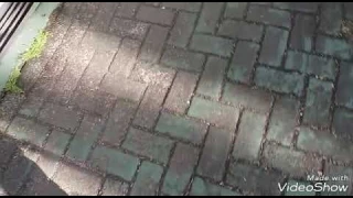 PKL PT. WLN INDONESIA