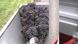 Дробилка для винограда с гребнеотделителем