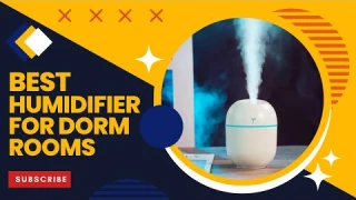 Best Humidifier for Dorm Rooms In 2022