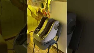 Блокировка дверей от детей для собак 🤣 прячу холодильник .