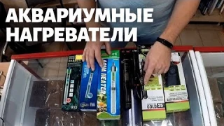 Нагреватели для аквариума: какие бывают и как правильно установить