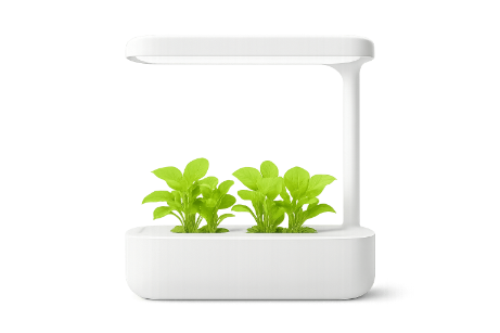 Садоводство